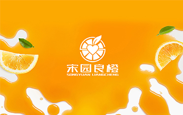 某良橙——内江LOGO设计